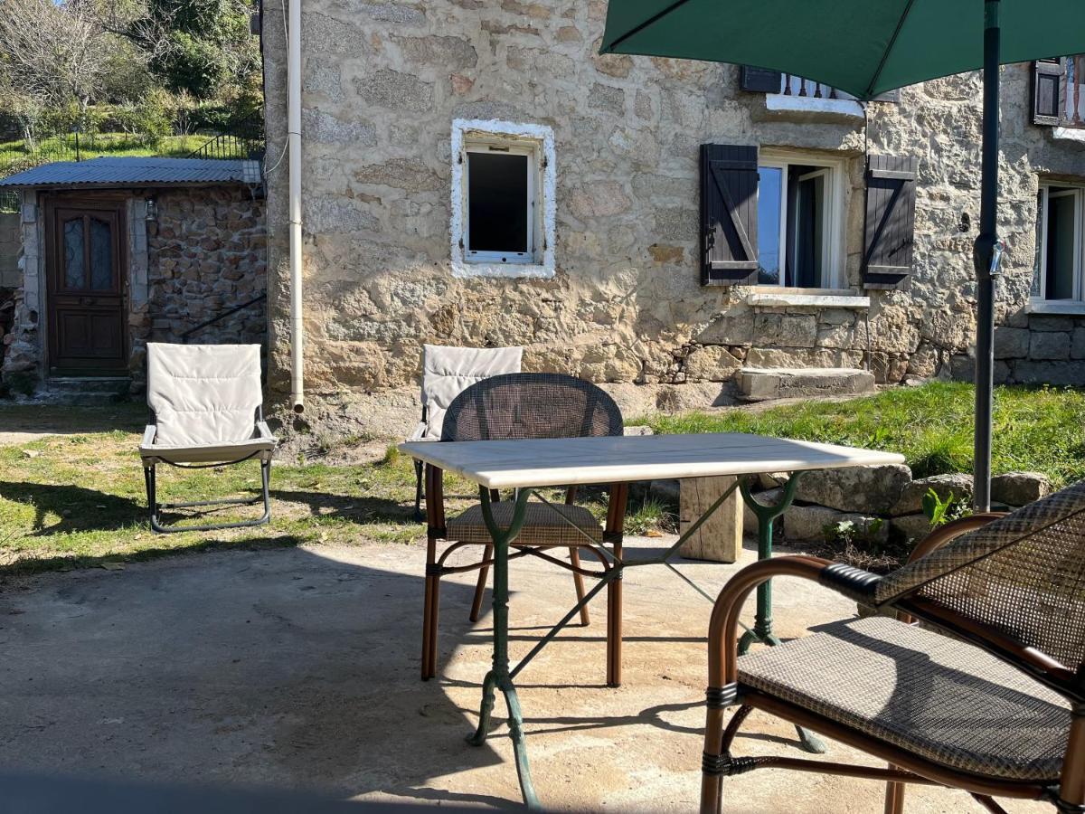 Bas De Maison Olivese Luaran gambar